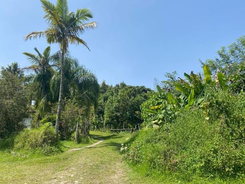 Kochian: Lugar donde se sueña House in Cuetzalan