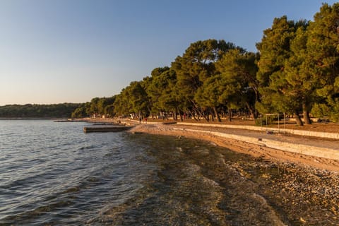 Apartments Mršić Condo in Biograd na Moru