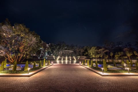 Night, Garden, Garden view