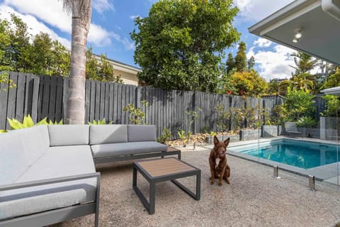 Pet friendly Holiday home with pool on Alex House in Maroochydore