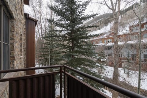 River Club 207 by Alpine Lodging Telluride Apartment in Telluride