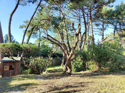 Spacieuse villa au Cap Ferret, proche Plage des Américains, 5 chambres, jardin, wifi, 10 pers - FR-1-736-26 Villa in La Teste-de-Buch