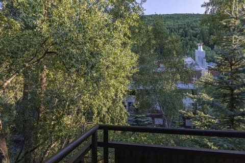 River Club 306 by Alpine Lodging Telluride Apartment in Telluride