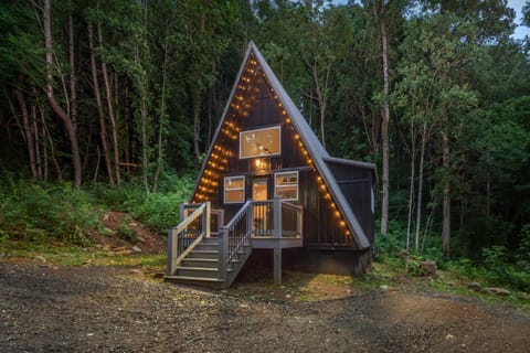 Spacious A-Frame w Loft - Close to Downtown Asheville Chalet in Swannanoa