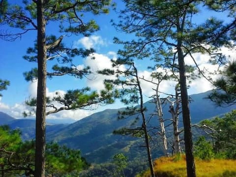 Nueva era eco park resort danglas abra Luxury tent in Cordillera Administrative Region