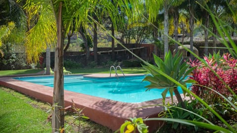 Natural landscape, Garden, Swimming pool