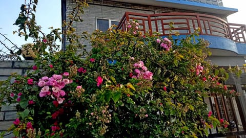 Property building, Garden view