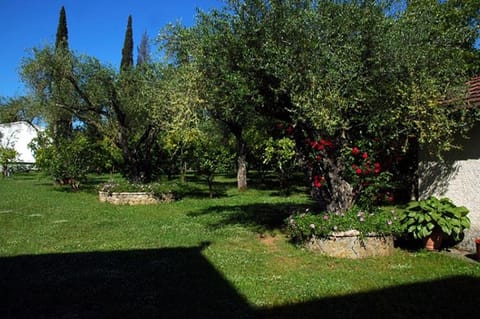 Garden, Garden view