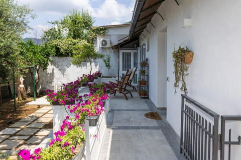 Property building, Garden, Garden view