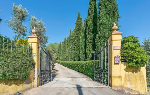 Natural landscape, Garden, Garden view