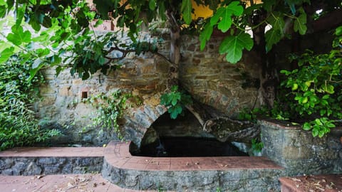 Tuscany Villa Gorello. Villa in Toscana. Jacuzzi con tetto in cristallo,piscina Chalet in Arezzo