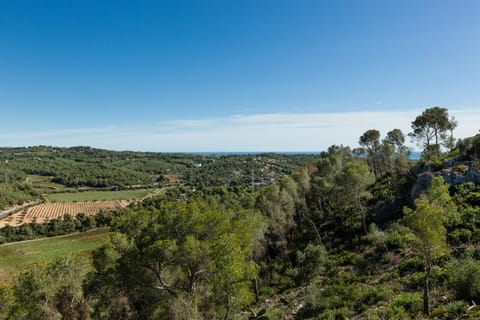 Wood House Massaranduba House in Garraf