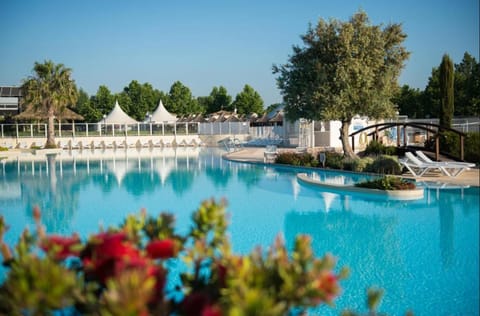 Day, Pool view, Swimming pool