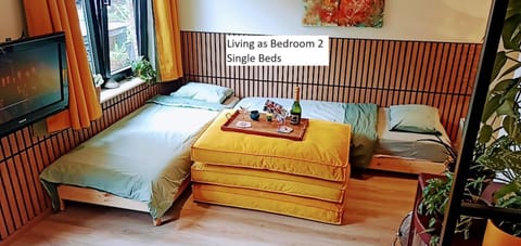 Bed, TV and multimedia, Living room, Bedroom