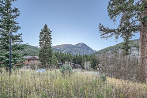 NEW LISTING! Peaks Paradise home Maison in Blue River