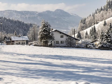 Property building, Winter