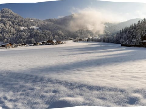 Winter, View (from property/room)