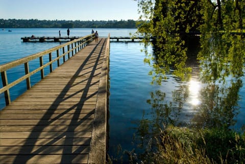 Day, Natural landscape, Lake view