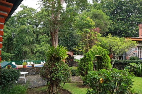 Garden, Garden view