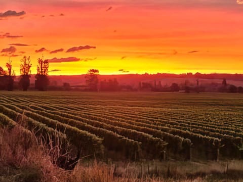 Natural landscape, Sunset