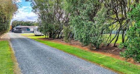 Natural landscape, Garden view