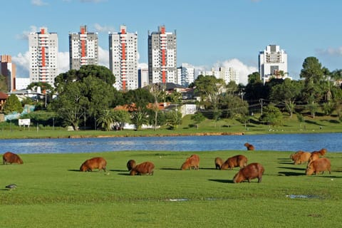 Localização excelente - Próximo parque Barigui Condo in Curitiba