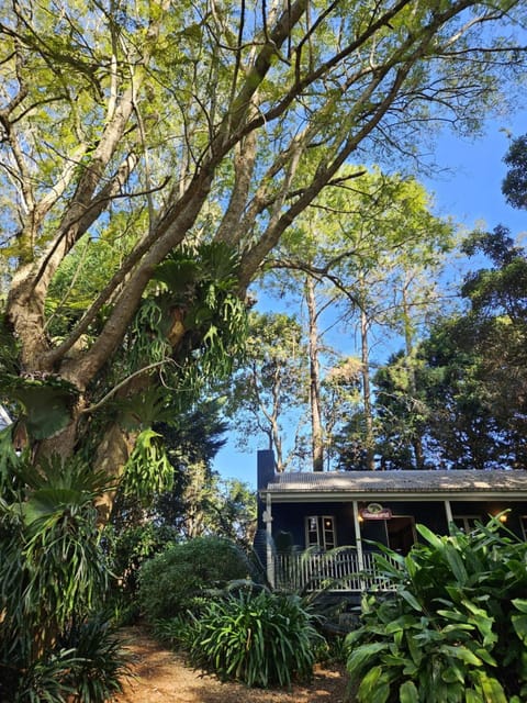 Natural landscape, Garden view