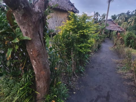Imaio home stay Bed and Breakfast in Vanuatu