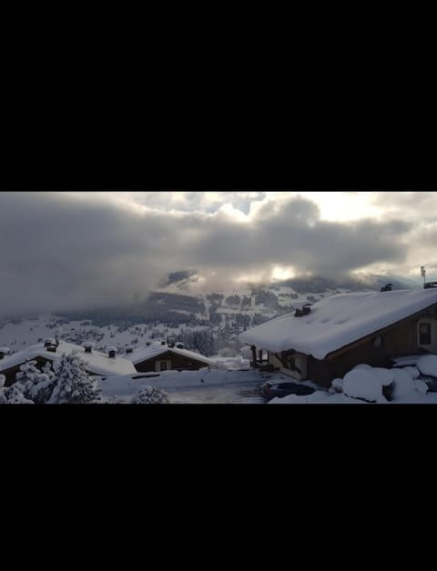 Studio porte du Mont Blanc Combloux aux pieds des pistes Apartment in Combloux