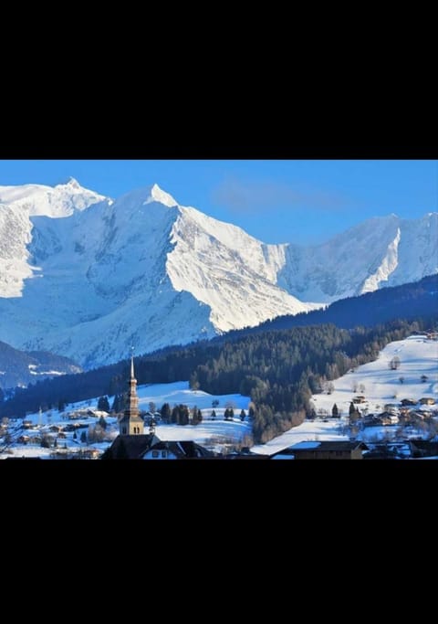 Studio porte du Mont Blanc Combloux aux pieds des pistes Apartment in Combloux