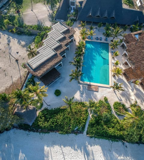 Bird's eye view, Other, Swimming pool, Swimming pool