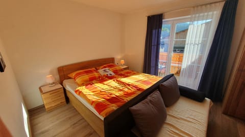 Apartman Tauplitz skiing, hiking, bike, cross country - Haus Sandlweber Apartment in Bad Aussee