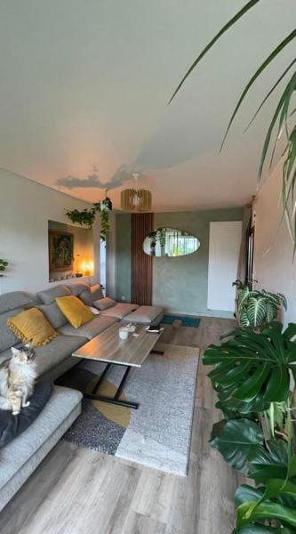 Appartement T3 - forêt & plage Apartment in Anglet