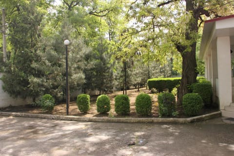 Spring, View (from property/room)