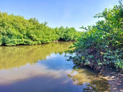 Off site, Natural landscape, River view