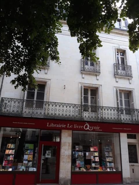 Très grande maison de ville au coeur de Saumur Apartment in Saumur