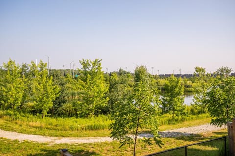 Natural landscape, Lake view