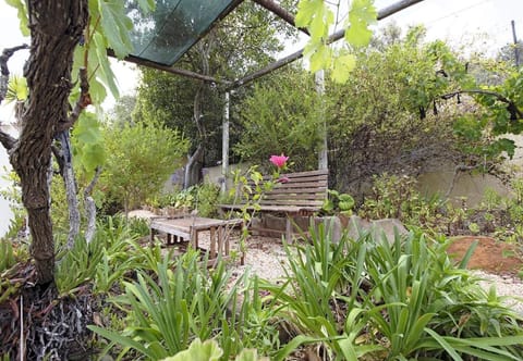 Patio, Garden, Garden view