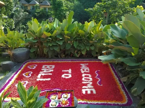 Garden, Garden view