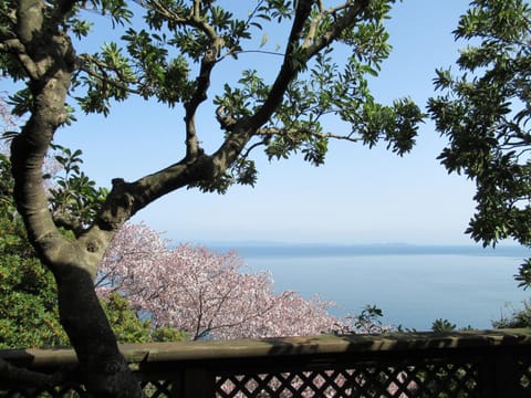 Spring, Natural landscape, Balcony/Terrace