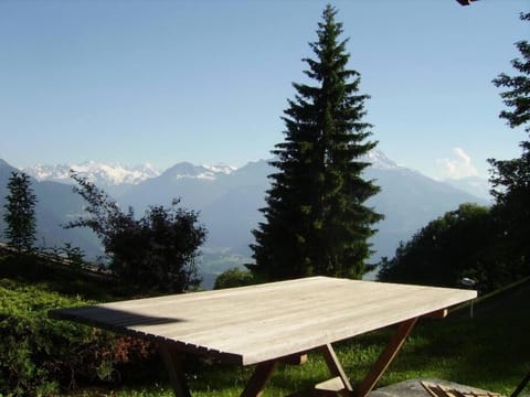 Villars sur Ollon garden and panoramic view Apartment in Ollon