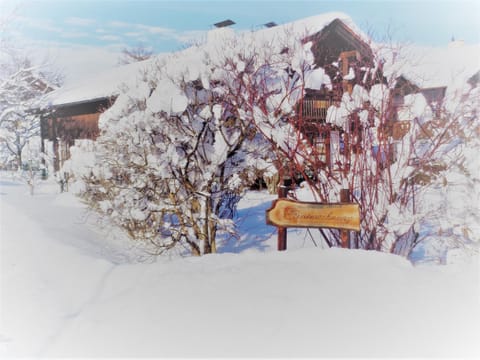 Haus Fellner**** Apartment in Salzburgerland