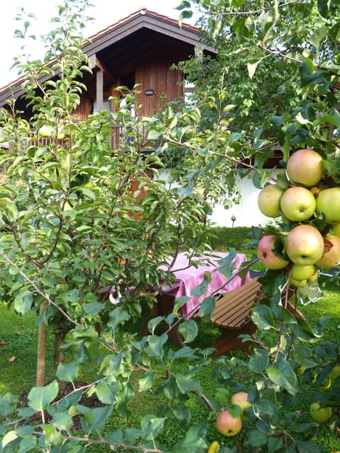 Haus Fellner**** Apartment in Salzburgerland