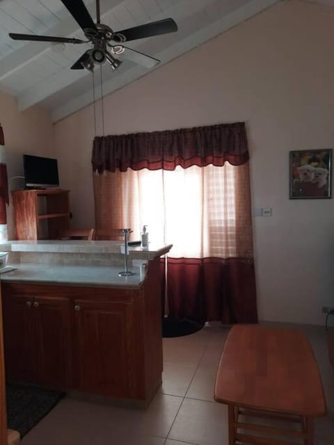 Joyville Apartment in Bridgetown