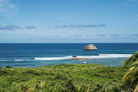 Natural landscape, Sea view