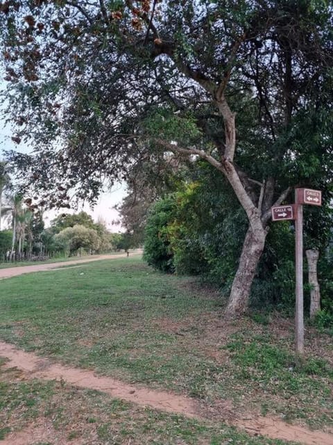 Natural landscape, Garden, Garden view