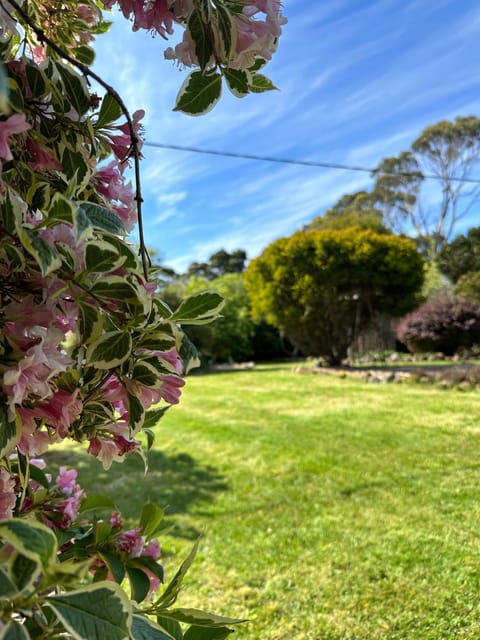 Garden, Garden
