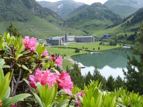 Property building, Day, Natural landscape