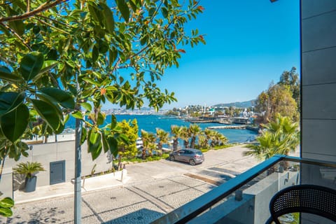 Spring, Day, Balcony/Terrace, Balcony/Terrace, Sea view, Parking