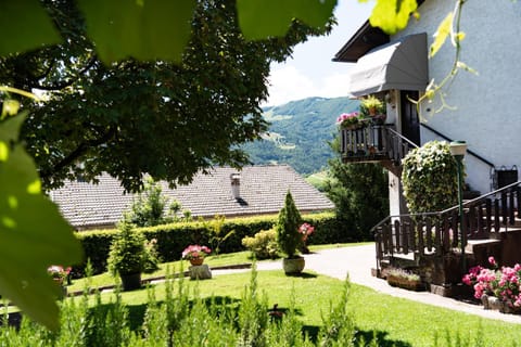 Garden, Garden, Garden view, Garden view